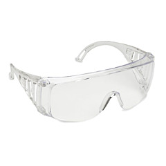 VISITOR GLASSES
